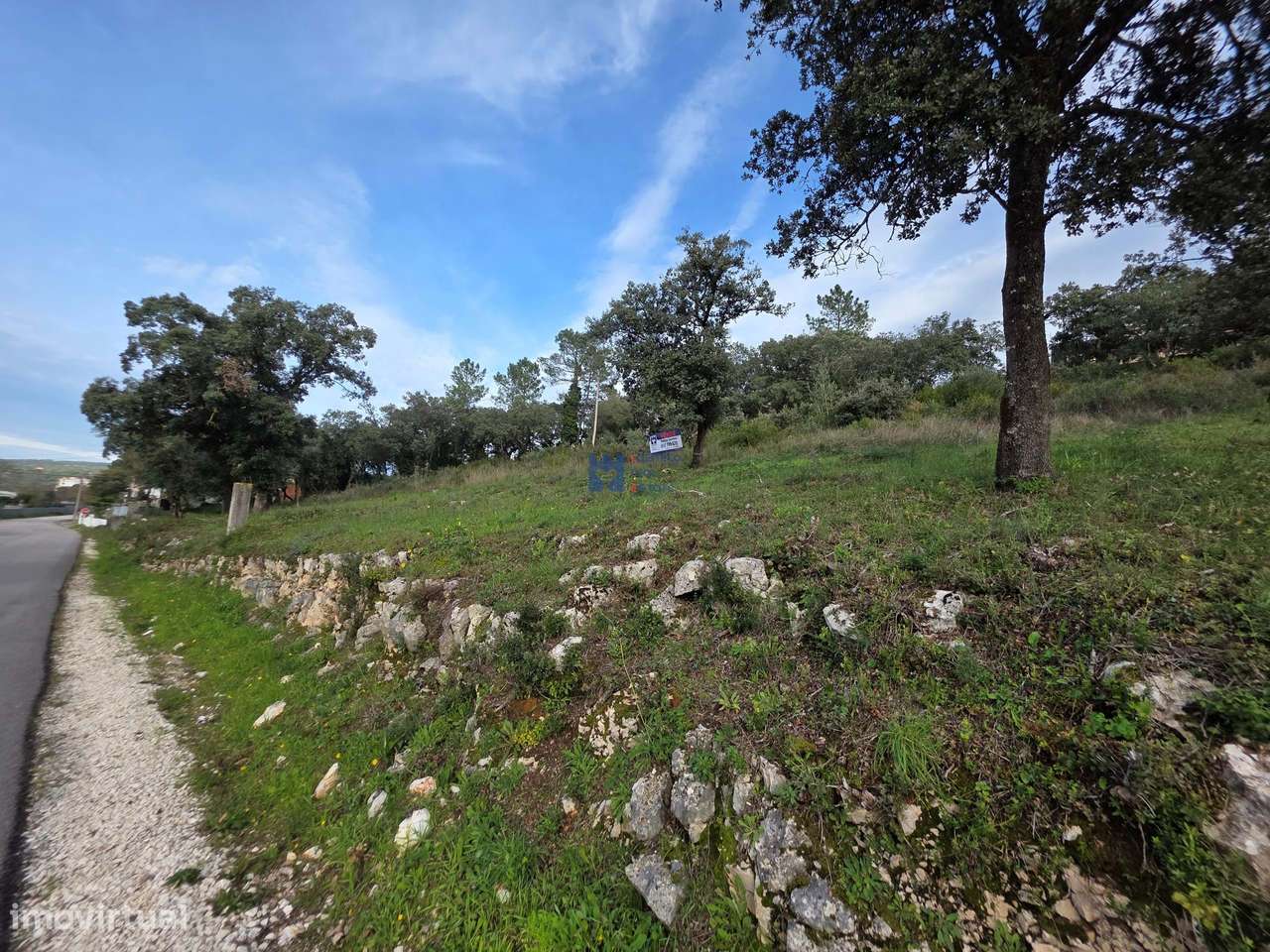 Lotes de terreno em Minde - Grande imagem: 5/27