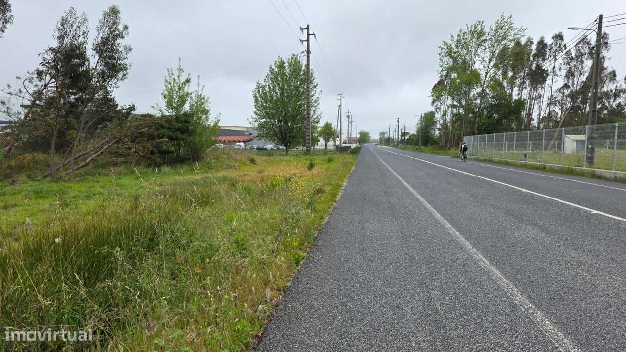 Terreno rústico de 7600m² de área, em Moita Marinha Grande-6
