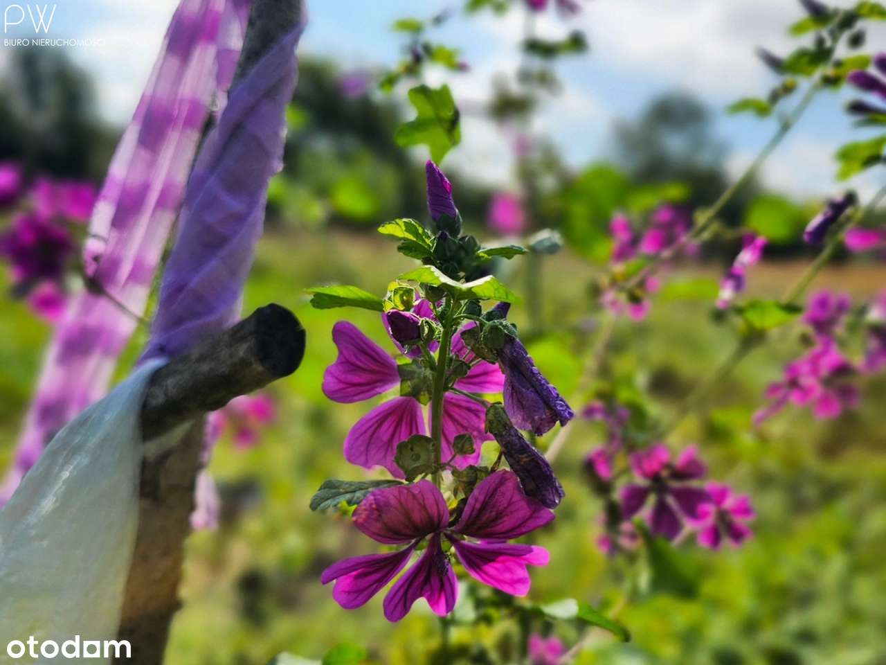 Bezczynszowe mieszkanie z ogródkiem-16