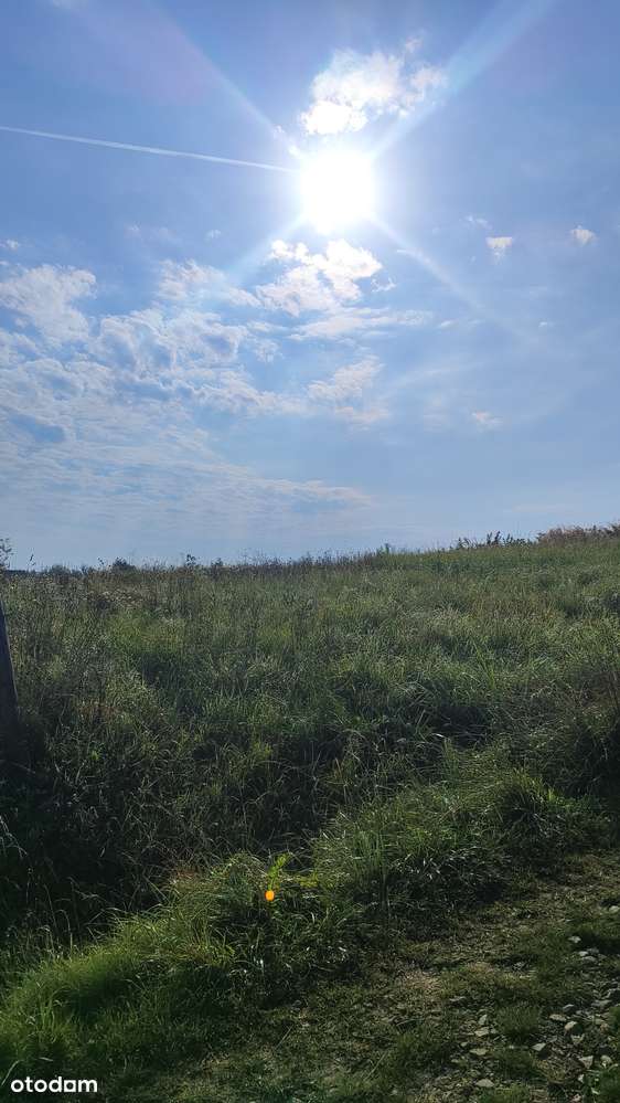 Działka WZ Domaradz pow. 15a - Pełny obrazek: 4/4