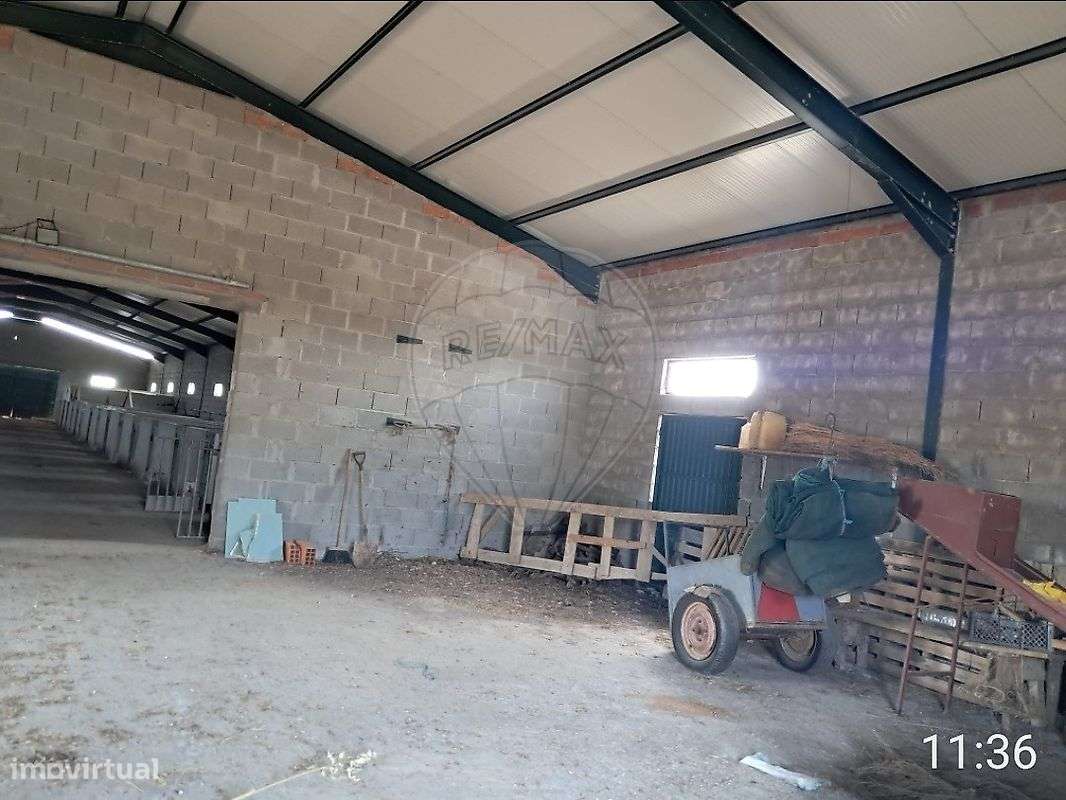 Armazém  para venda-8