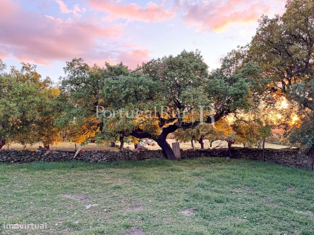 Quinta de 10 ha com projeto aprovado para 2 moradias em Marvão-43