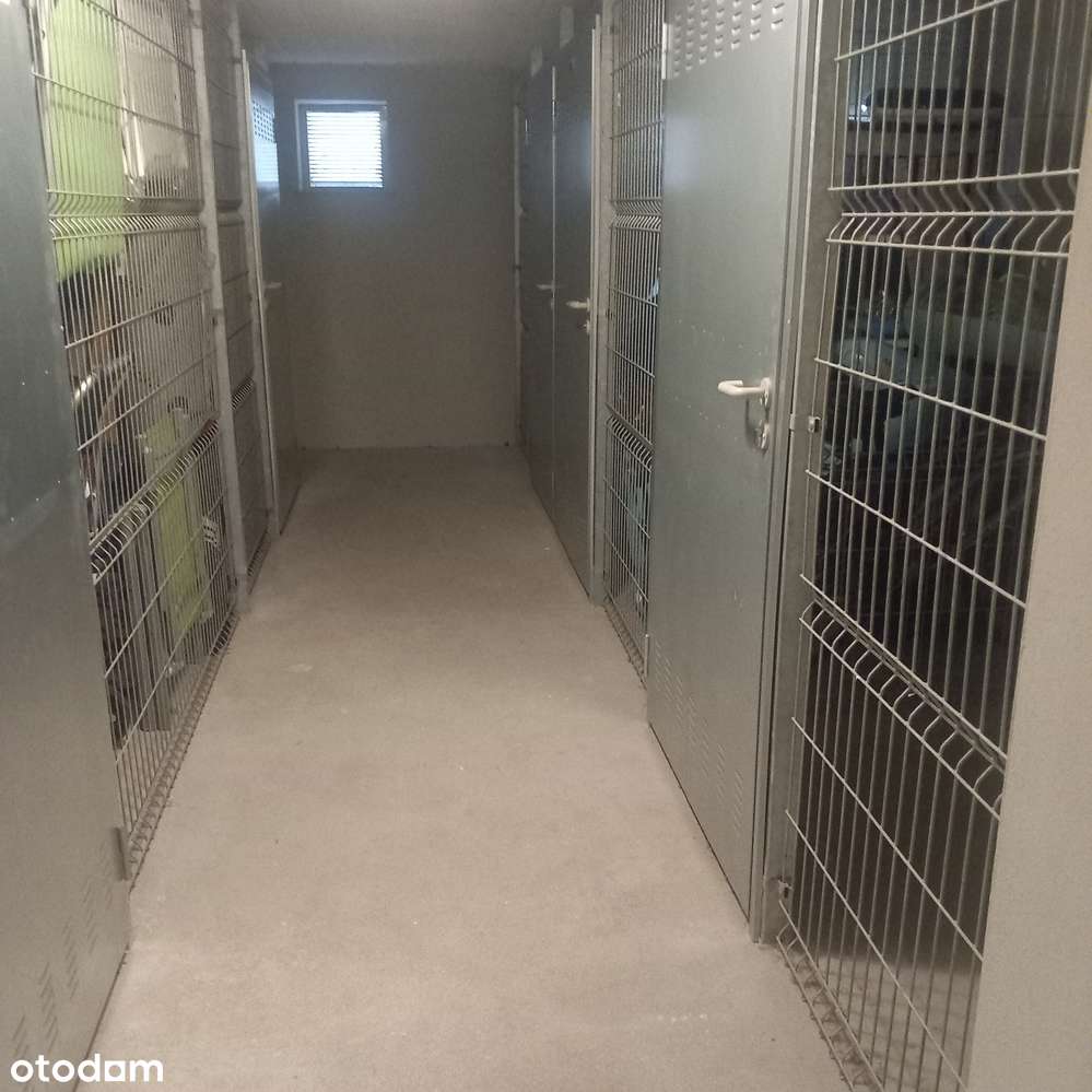 Wyposażone mieszkanie z parkingiem i piwnicą 600 m od plaży, w lesie-13