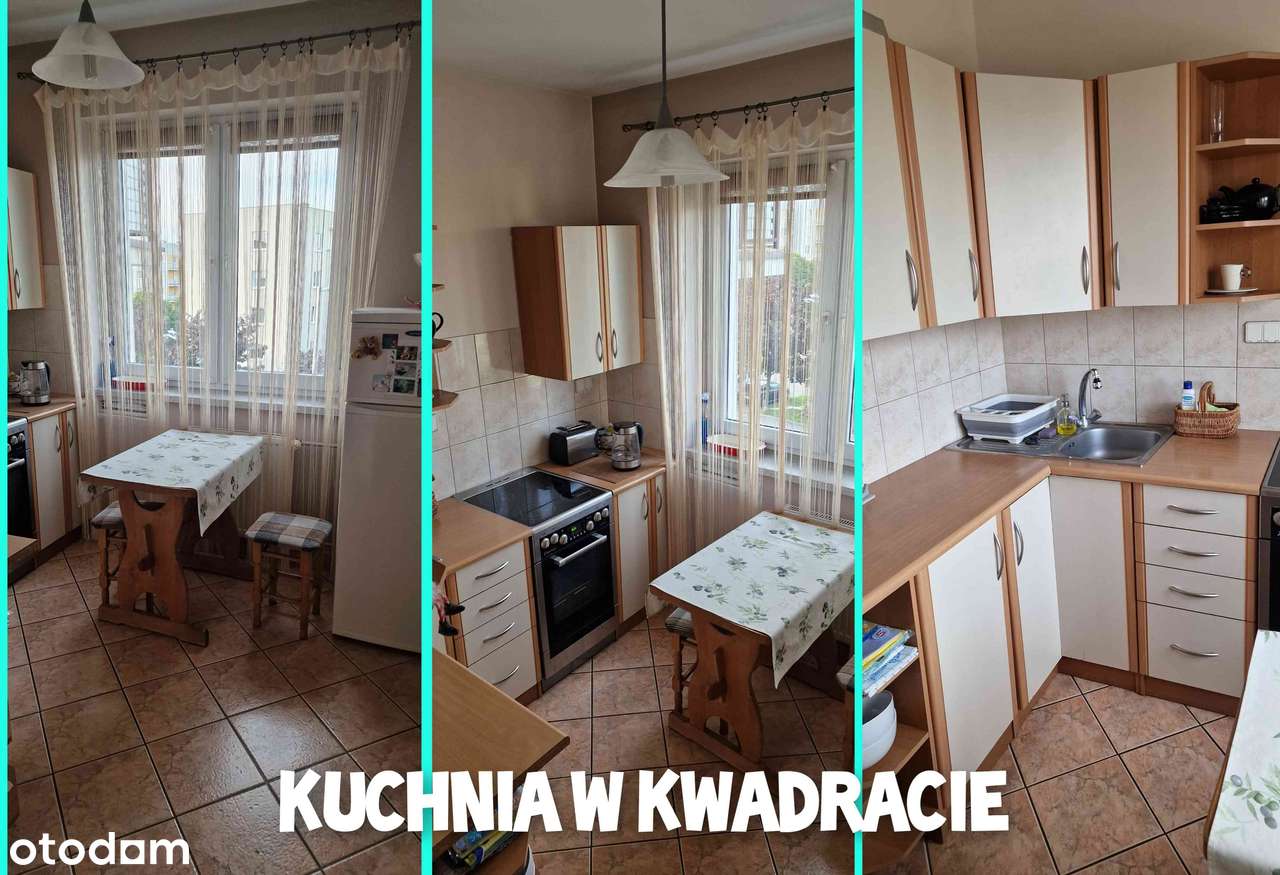 M3 na sprzedaż, bezpośrednio, Częstochowa, Północ, ul. Czecha 6. - Pełny obrazek: 3/11