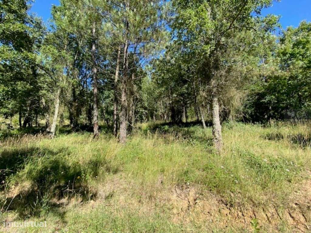 Terreno - Grande imagem: 3/6