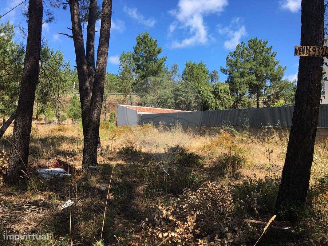 Terreno  para venda - Grande imagem: 3/11