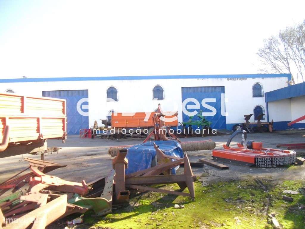 Armazém Industrial na Cabeça Gorda com 845 m2 de construção - Grande imagem: 3/16