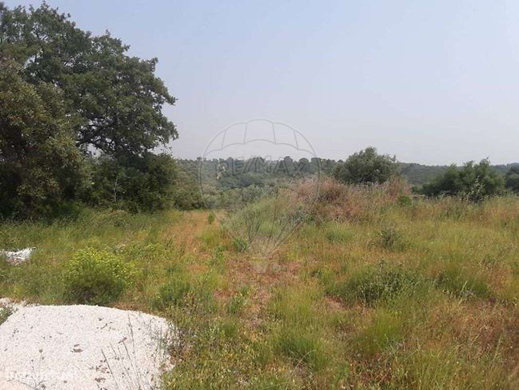 Terreno  para venda - Grande imagem: 4/8