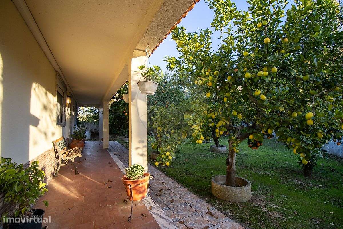 Quinta T3 para venda - Grande imagem: 5/30