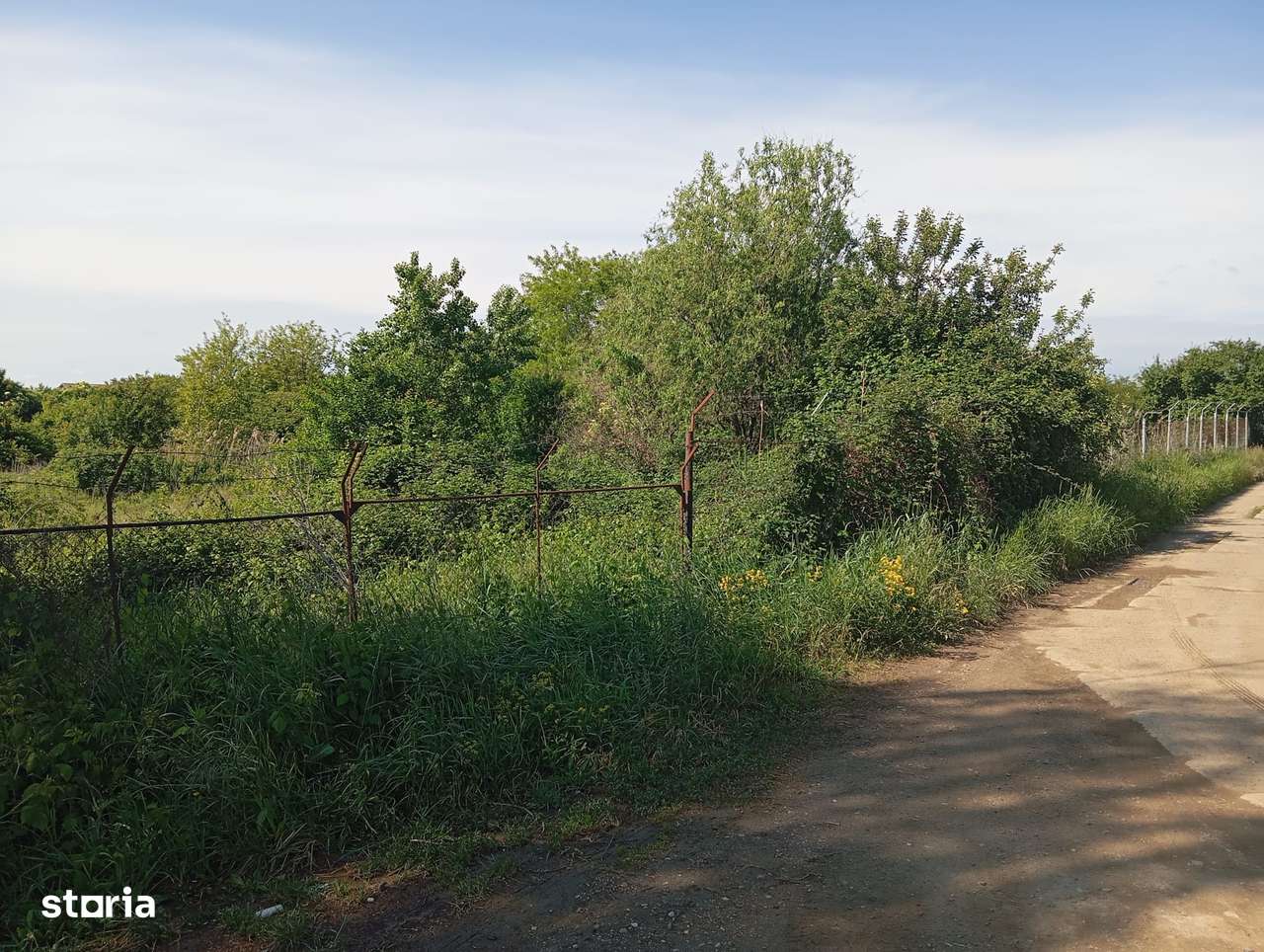 Teren intravilan în Vetiș - Oportunitate excelentă de investiție!-4