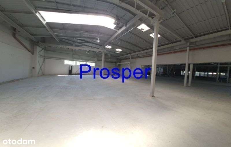 h=3,80m-4,2m posadzka niepylna, bramy 0 - Pełny obrazek: 4/10