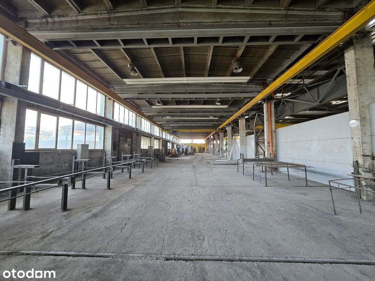Hala po modernizacji z dużym placem i suwnicami - KSSE Bytom - Pełny obrazek: 5/14