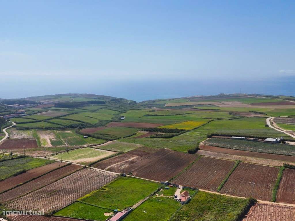 Venda de 2 Terrenos Agrícolas na zona do Paimogo, Lourinhã-19