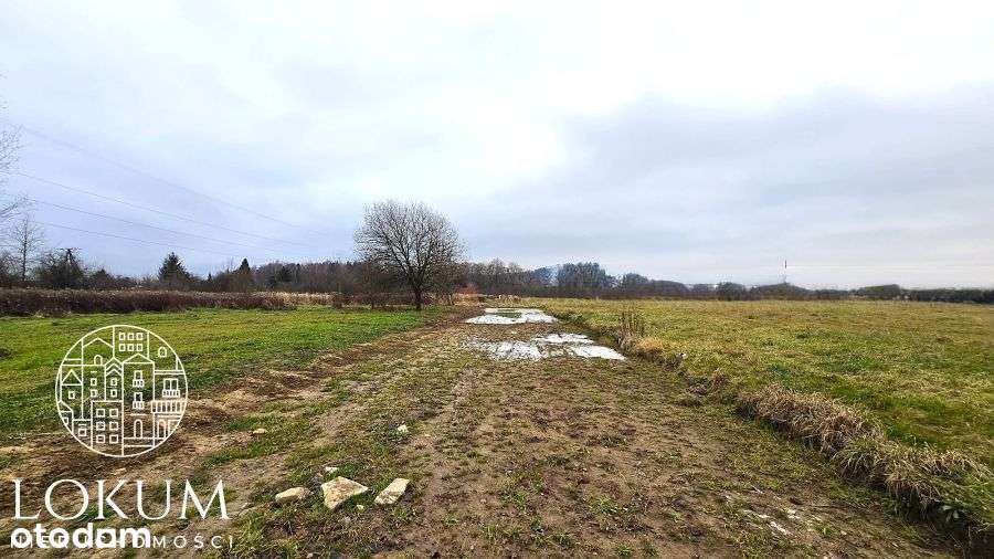 Atrakcyjne Działki Budowlane w Jeżowie Sudeckim-7