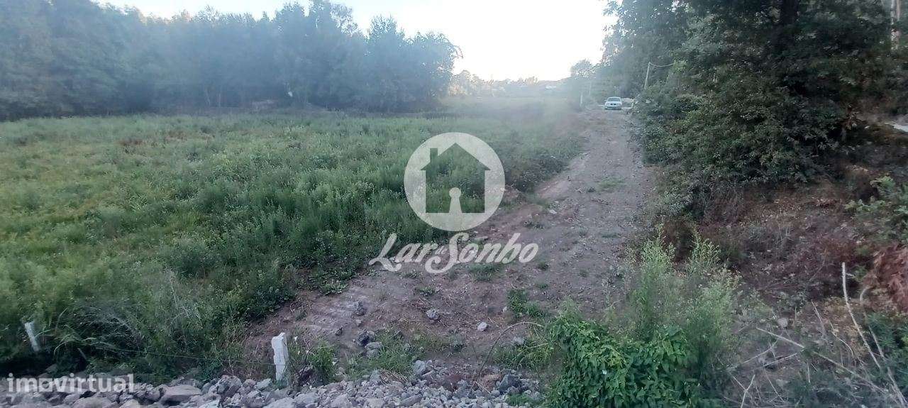 Terreno agrícola com 2.100 m2 em Ribeirão - Grande imagem: 2/6
