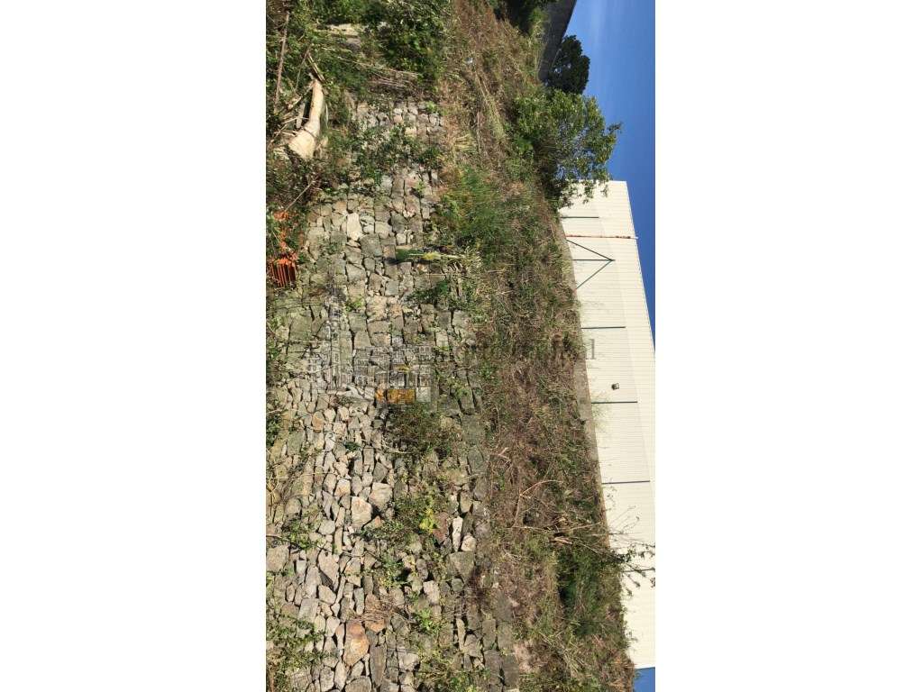 Excelente terreno para venda próximo 24 de Agosto. - Grande imagem: 3/17