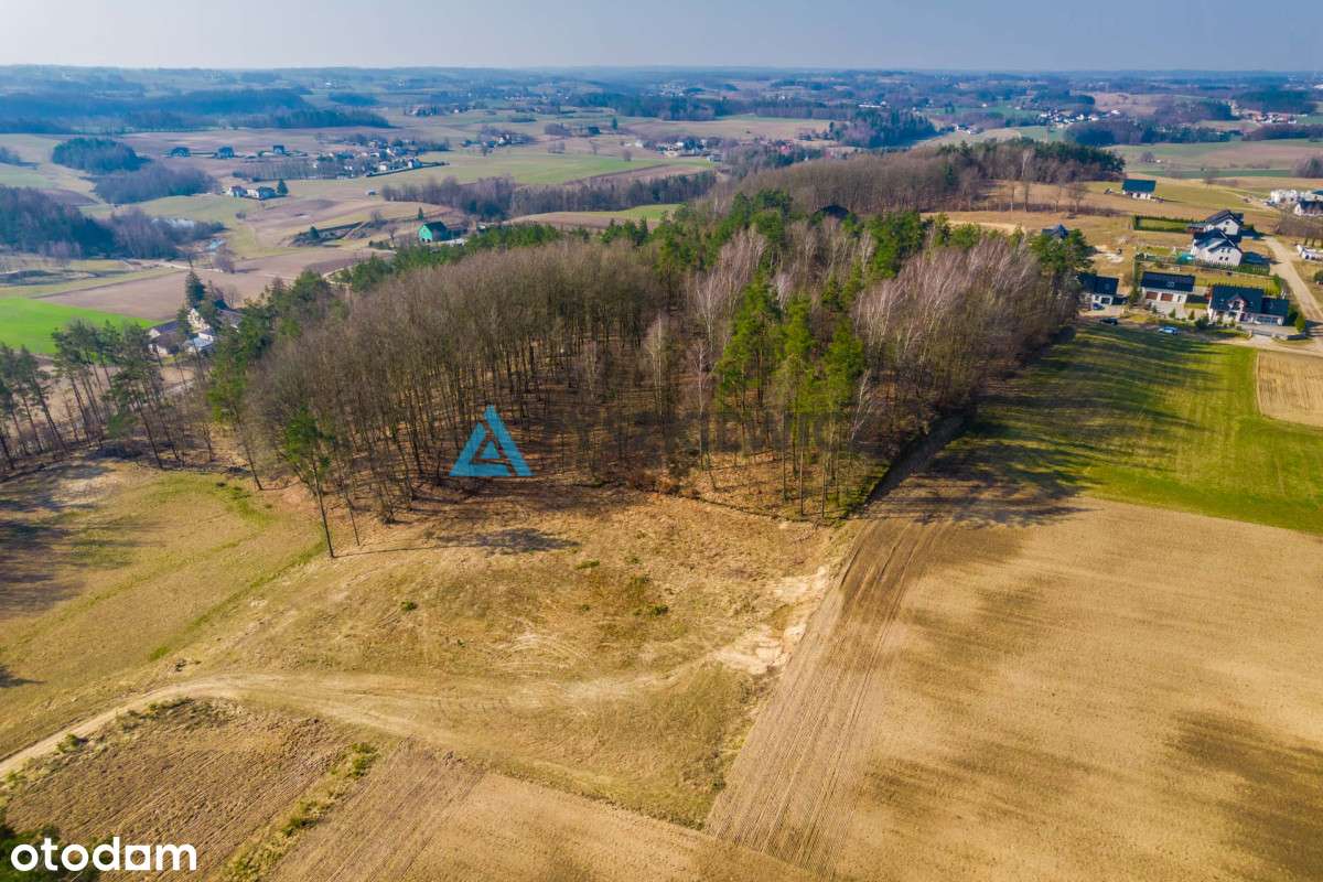 Działka budowlana z lasem Sierakowice 3667m2 - Pełny obrazek: 4/20