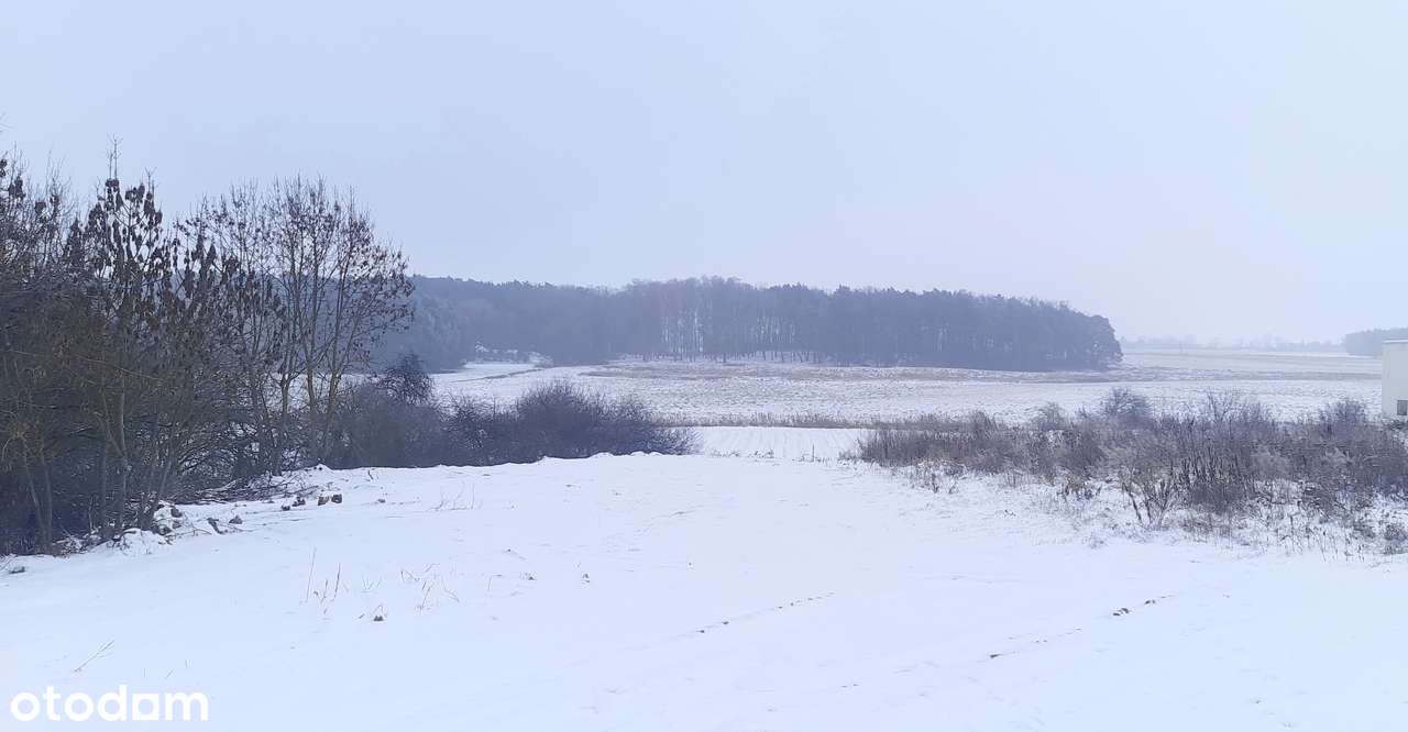 Widok na dolinę rzeki, z laskiem. Działka budowlana tuż obok Szamotuł-4