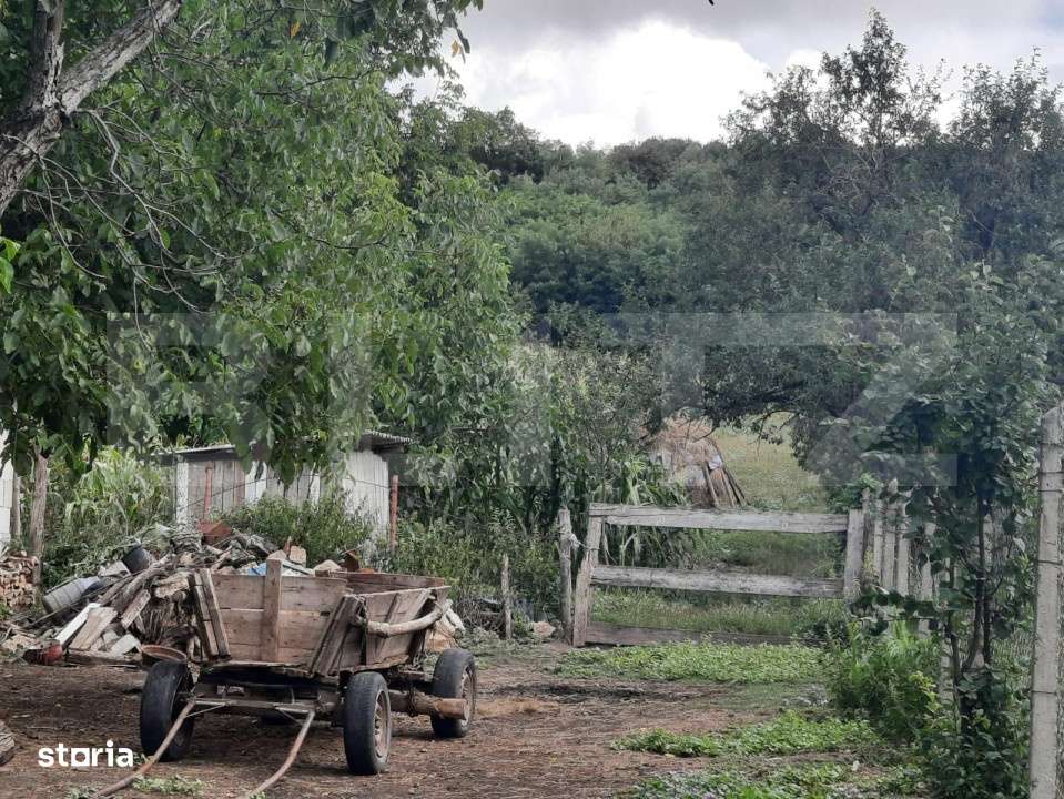 Teren 5300 mp, drum asfaltat, aproape de padure, Dobrovat - Imagine principală: 4/5