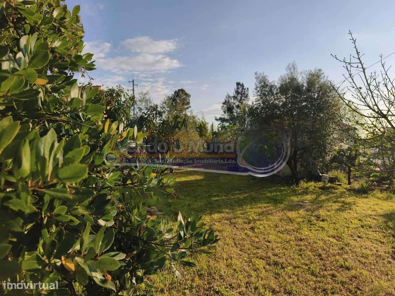 Terreno em Marinhais (M812) - Grande imagem: 5/7