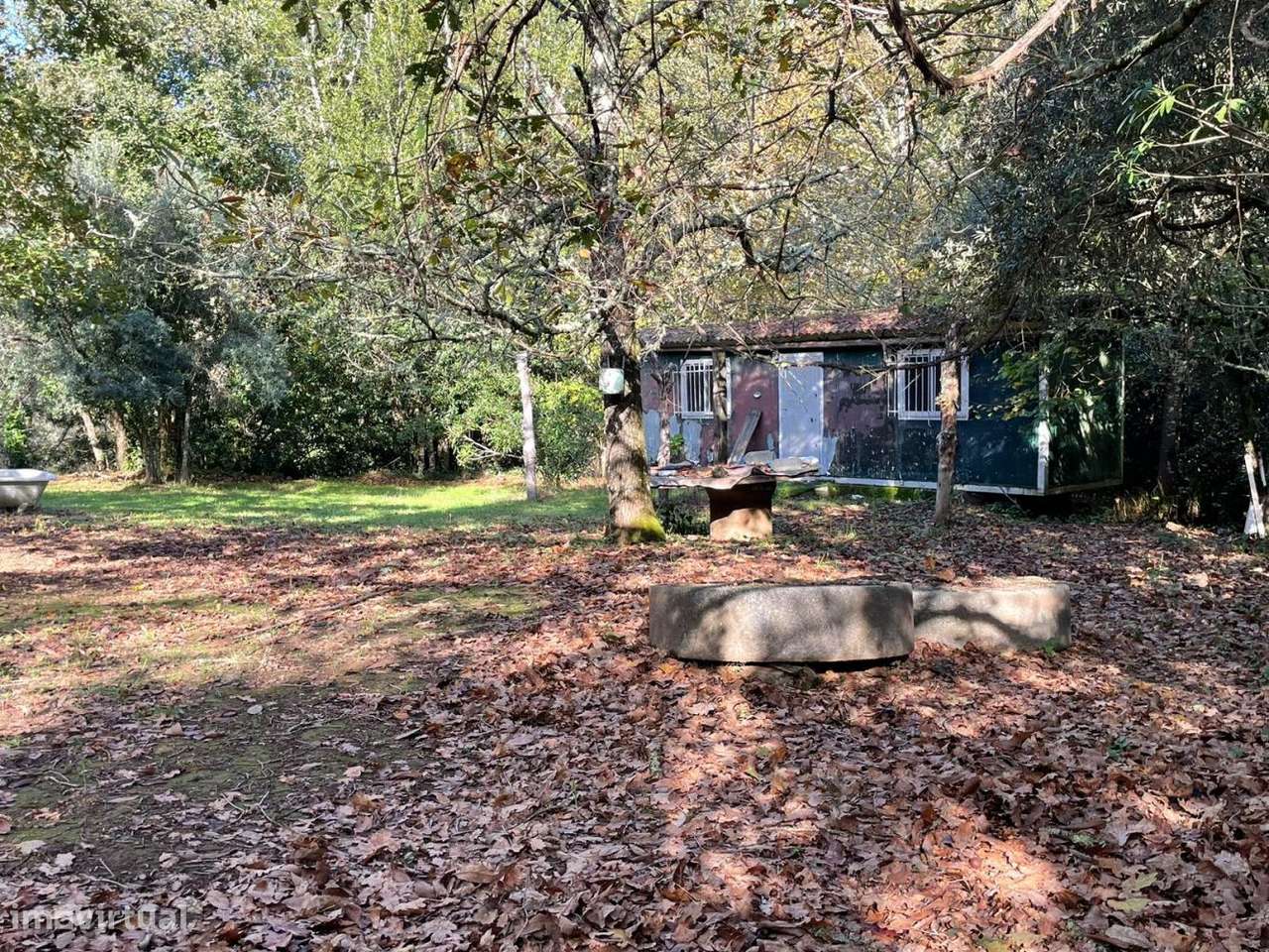 Quinta com casa para recuperar junto a ribeiro-9