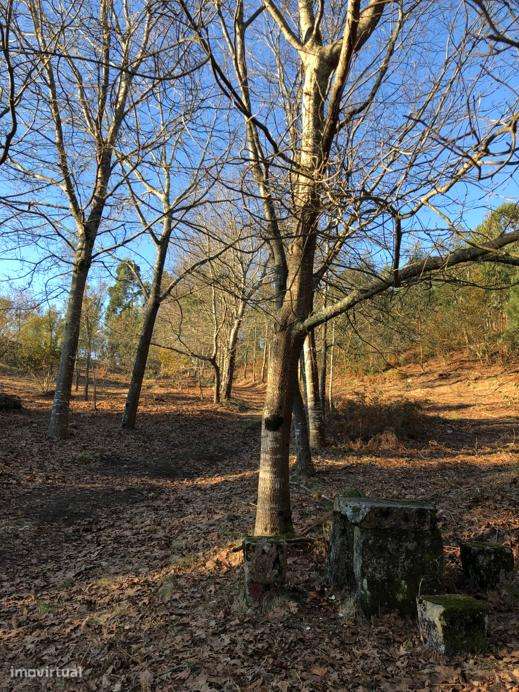 Terreno para construção hoteleira - Grande imagem: 2/4