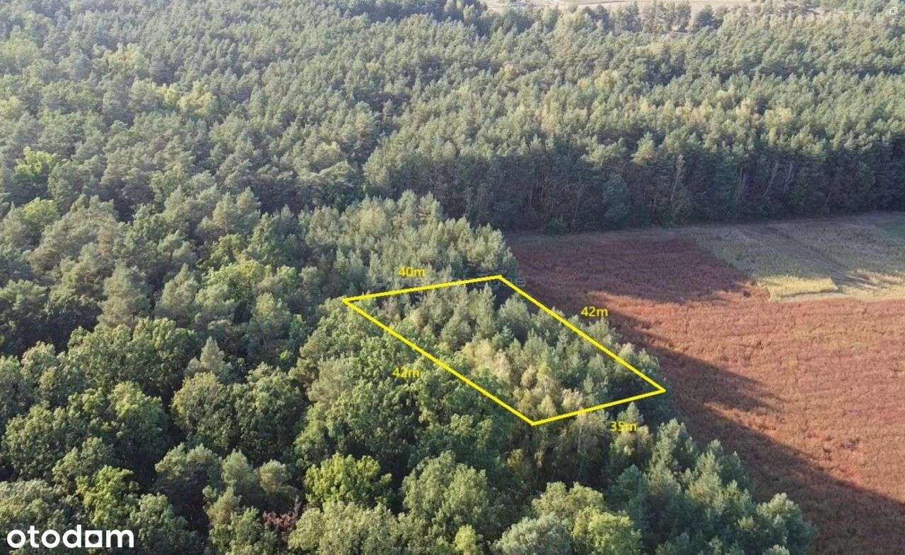 Działka w atrakcyjnej lokalizacji - Pełny obrazek: 4/8