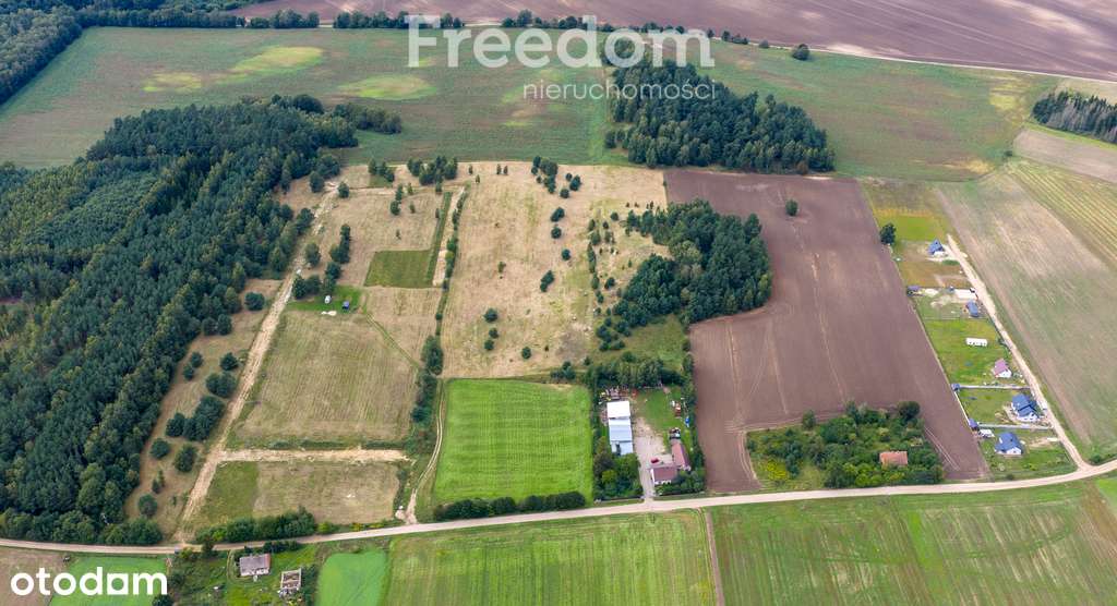 Działki pod budowę Szkotowo - Pełny obrazek: 5/20