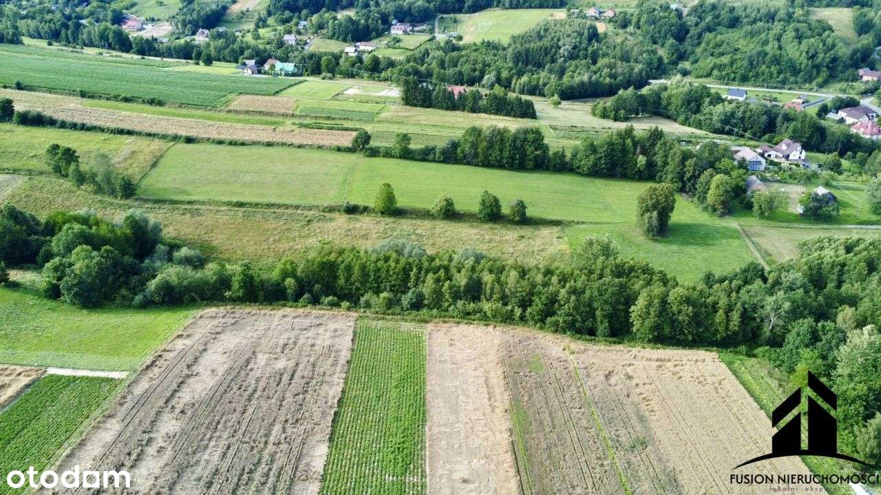 Urokliwa działka z potencjałem | 7842 m² | Łubno,-15