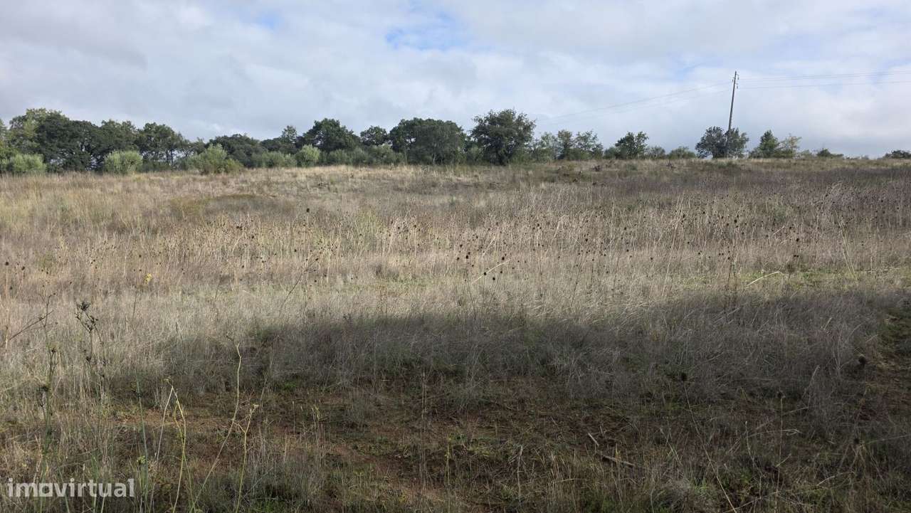Terreno 18.800 m2, pequeno lago, com potencial para pomar ou agricultu - Grande imagem: 5/25