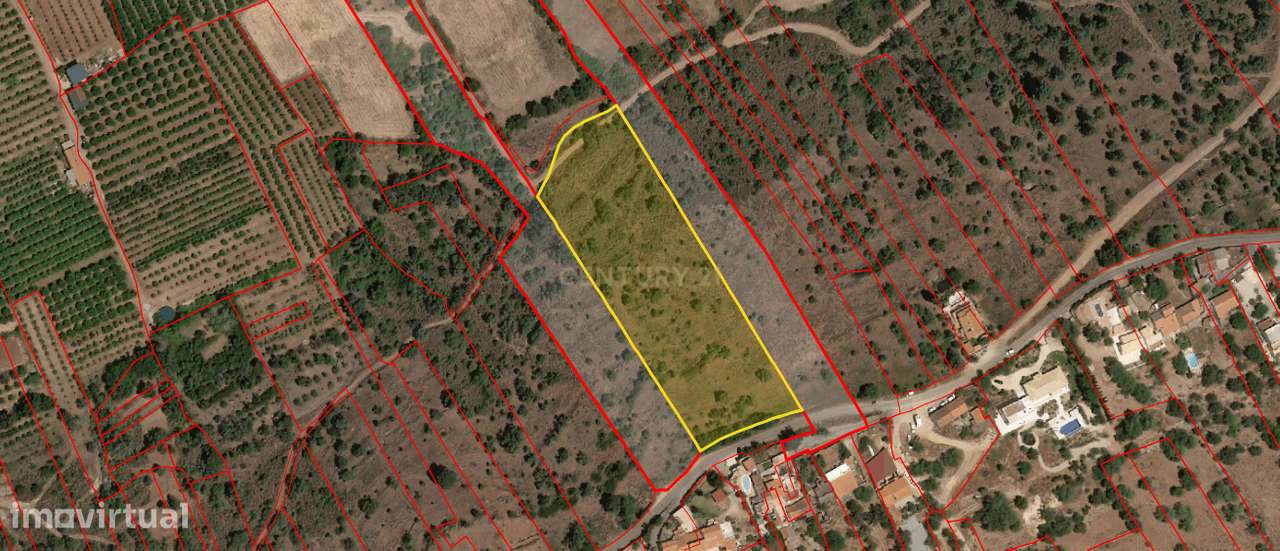 Terreno rústico em São Bartolomeu de Messines - Grande imagem: 4/4