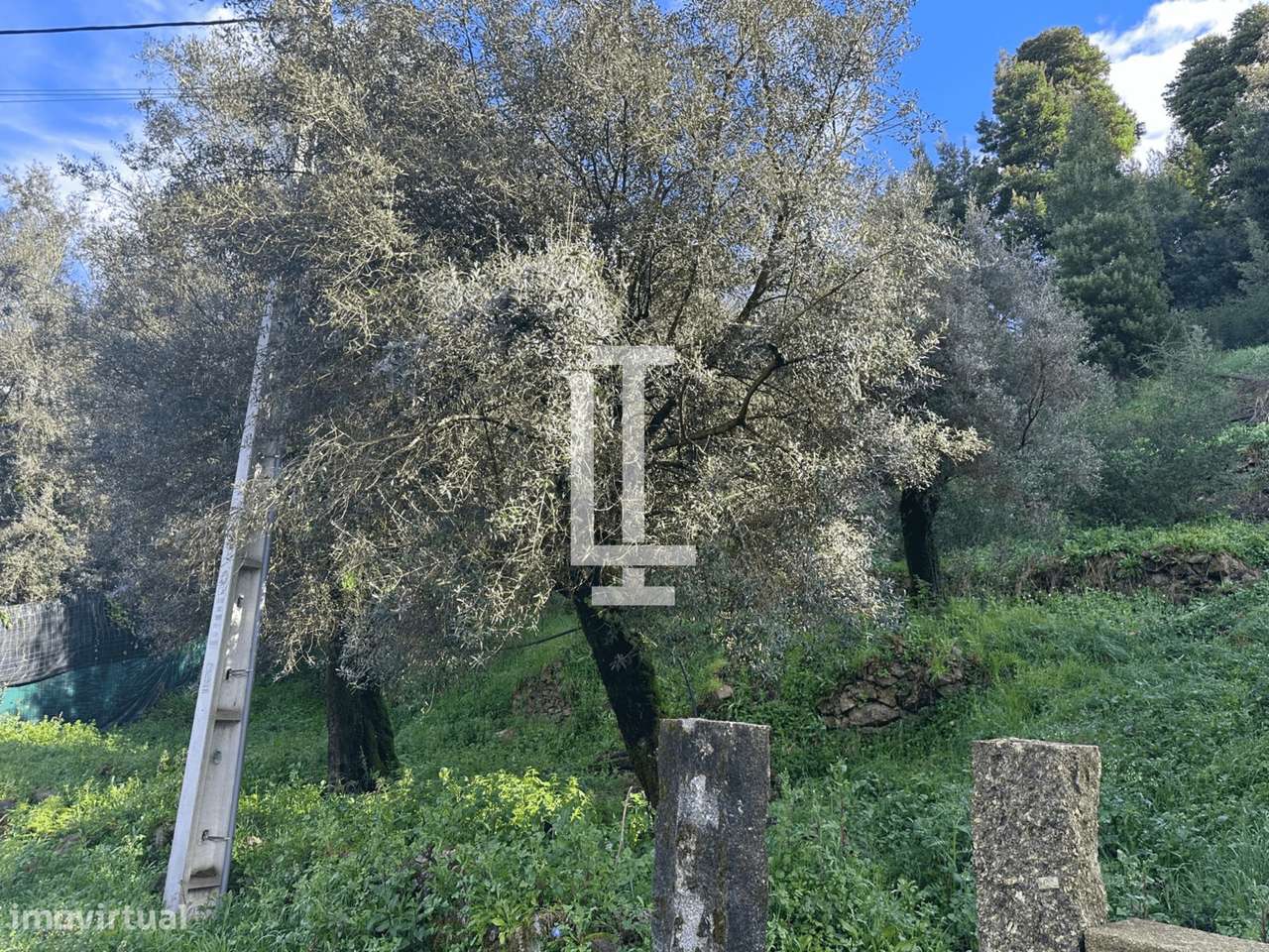 Terreno para construção Facha Ponte de lima - Grande imagem: 2/2