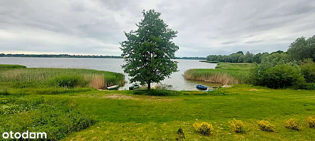 Pierwsza linia brzegowa jeziora Dzierzgoń - Pełny obrazek: 3/20