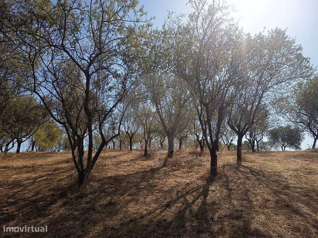 Terreno  para venda - Grande imagem: 4/5