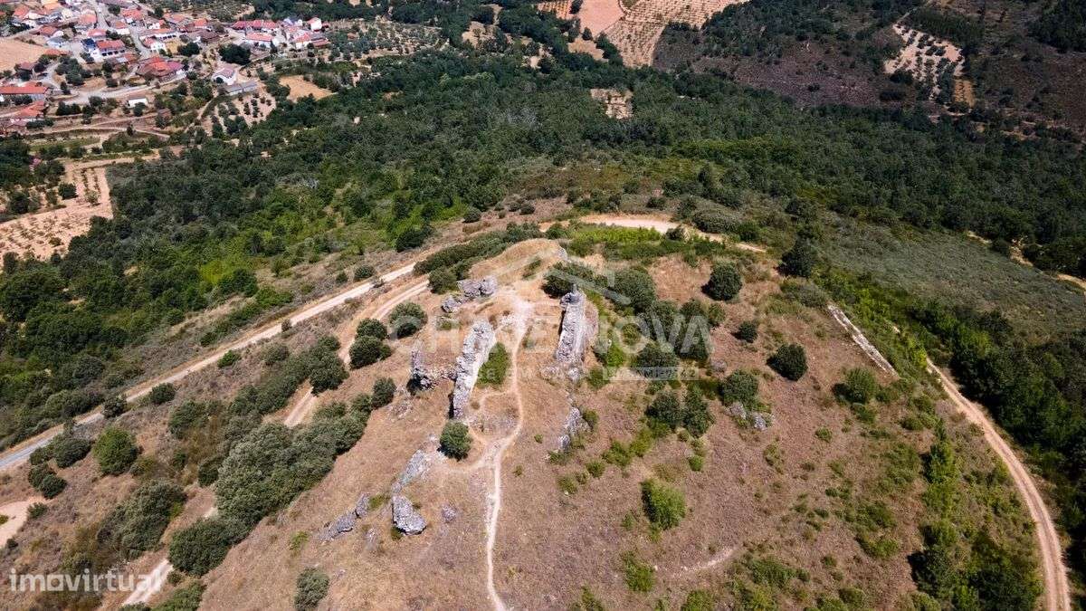 Moradia T4 com 1,355 Hectares de Terreno | Outeiro | Bragança-19