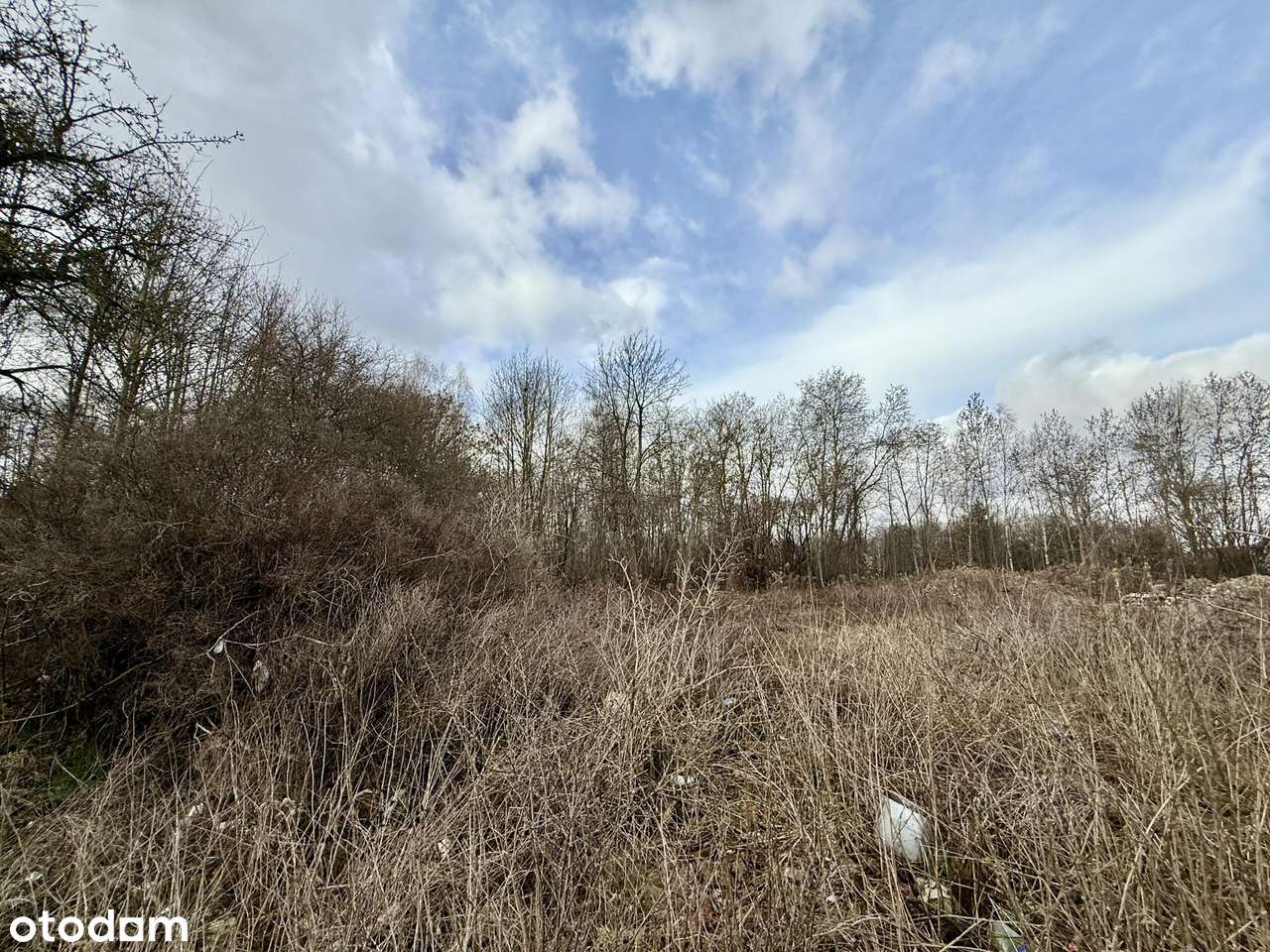 Radzymin-produkcja, składy i magazyny - Pełny obrazek: 5/6