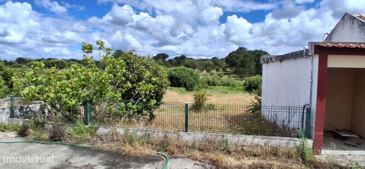 Casa Típica Rural em Coruche - Almeirim-16