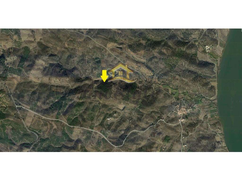 Terreno rústico em Azinhal - Grande imagem: 3/4