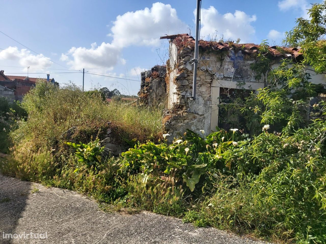 Terreno com ruina para reabilitação.