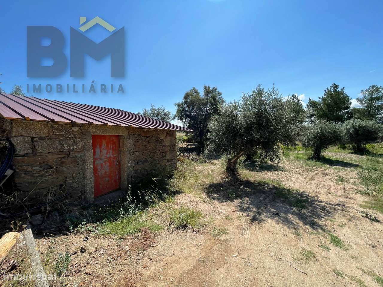 Quintinha  Venda em Freixial e Juncal do Campo,Castelo Branco - Grande imagem: 1/18