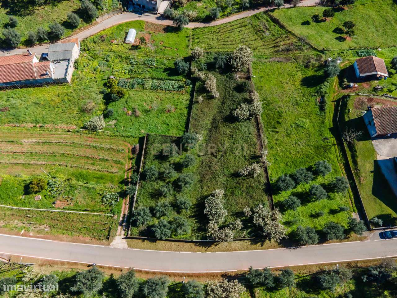 Terreno para Construção | Ceira-5