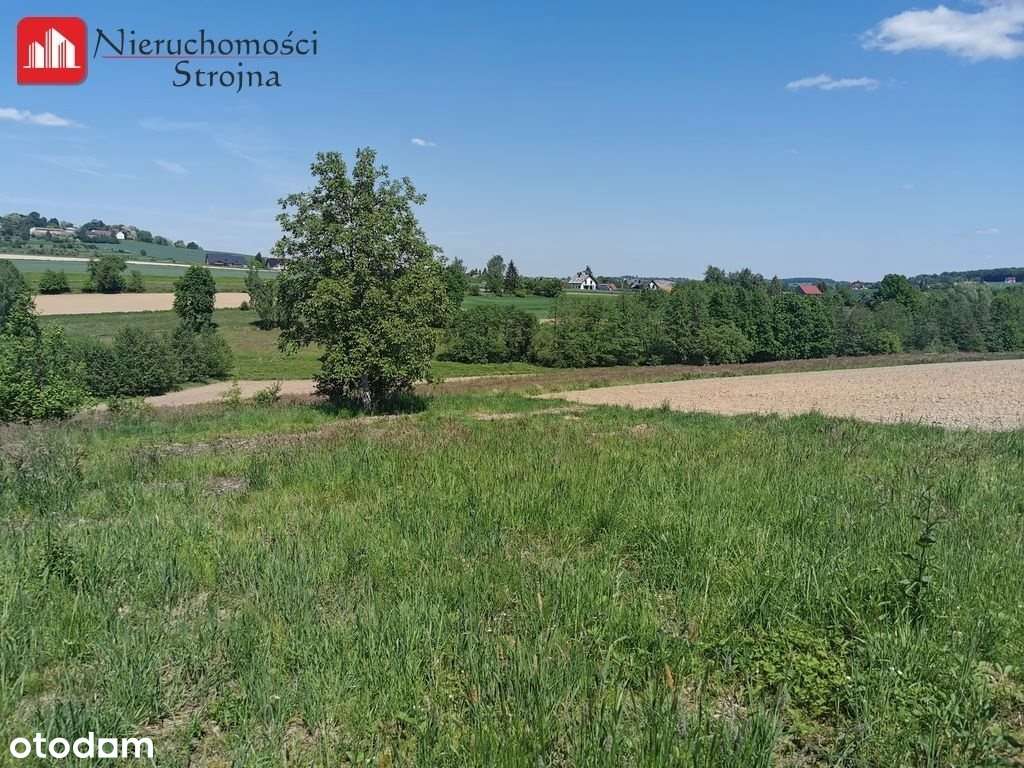 Sławkowice gmina Biskupice 14a działka budowlana - Pełny obrazek: 4/7