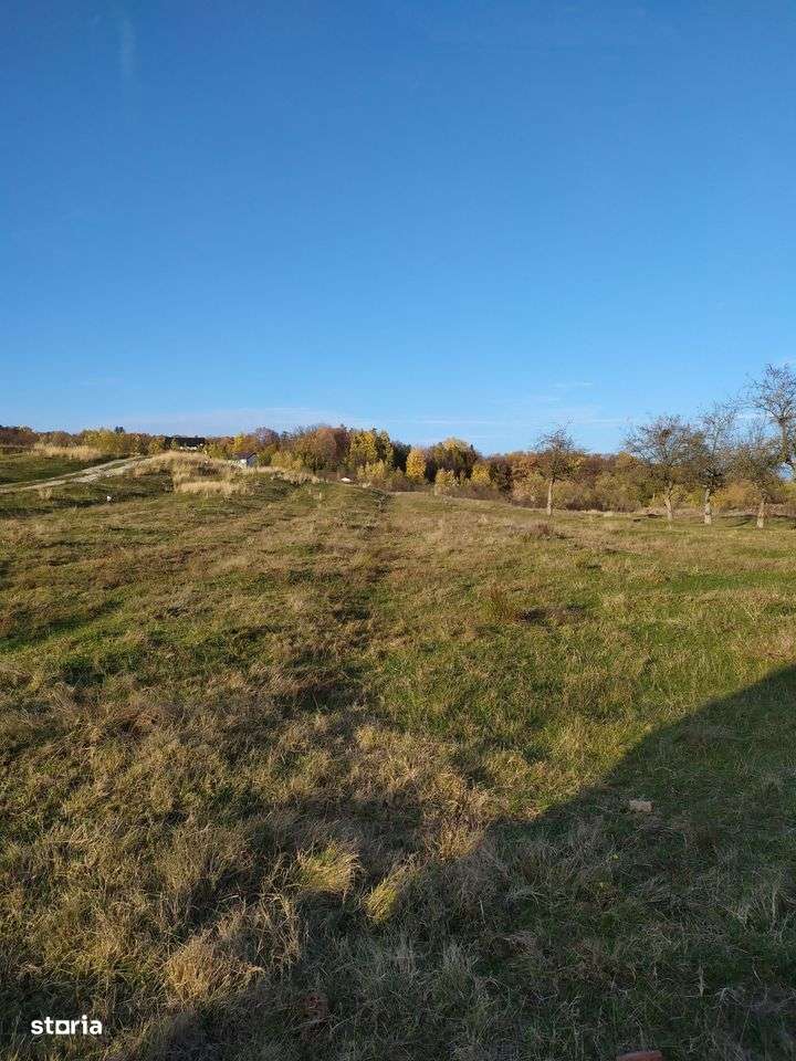 Proprietar Teren intravilan DE VÂNZARE Campina-PH (negociabil) - Imagine principală: 5/14