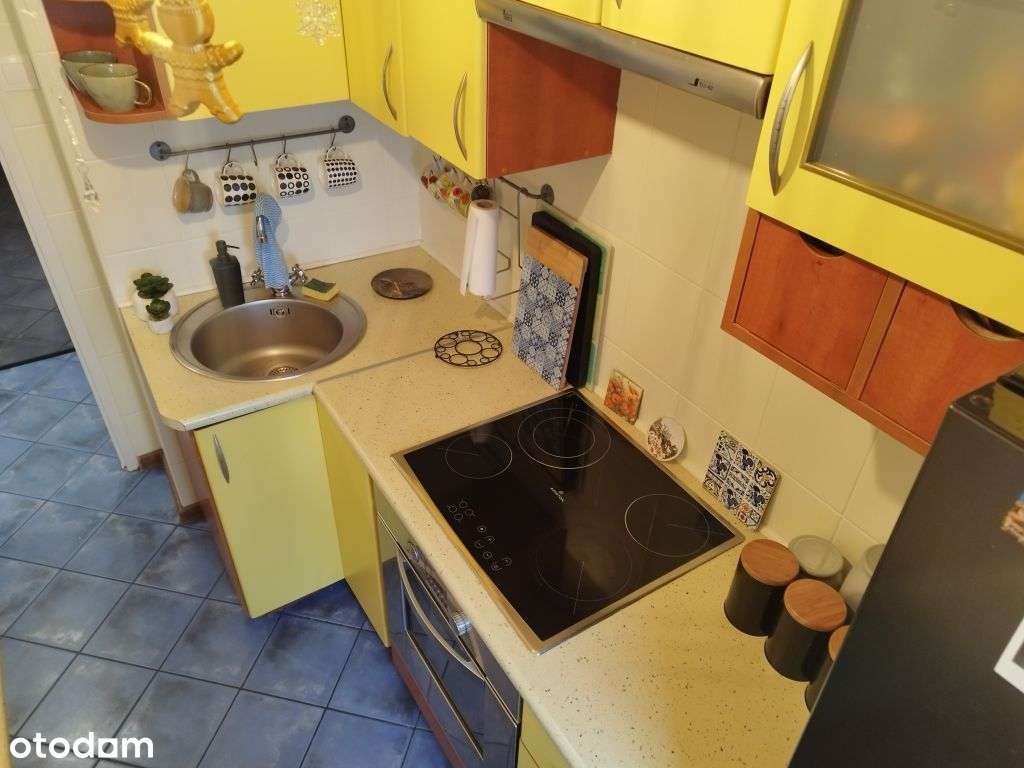 2 Pokojowe mieszkanie po Remoncie.-11