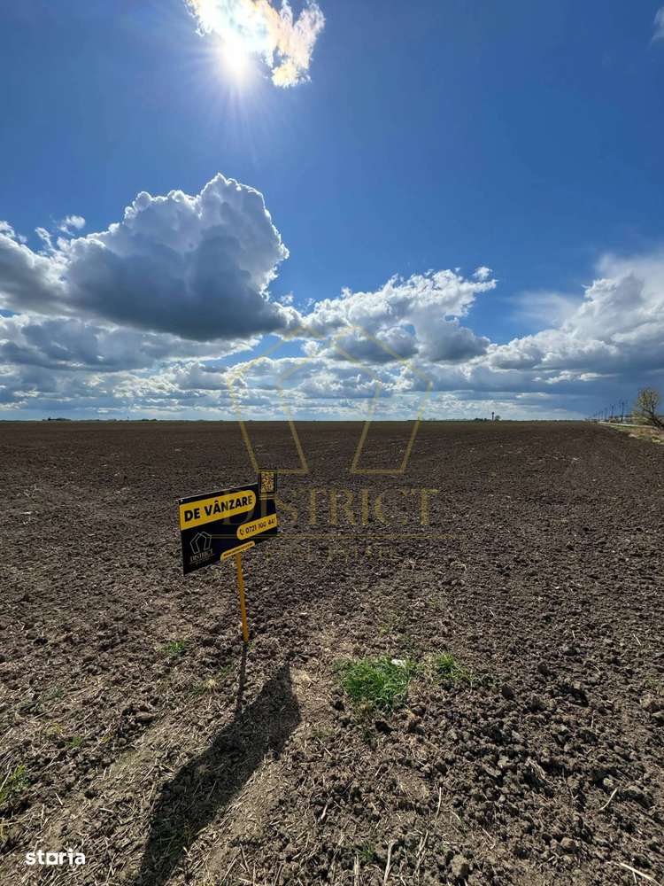 Teren extravilan pentru constructii industriale 5ha | Sag | Frigoglass - Imagine principală: 3/5