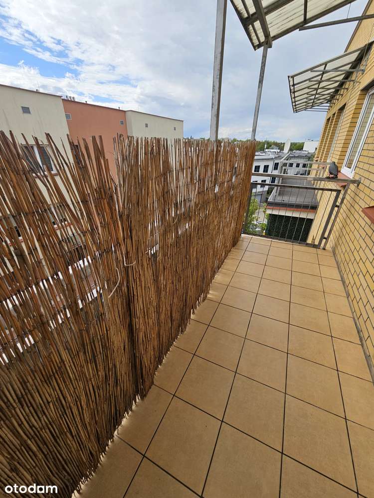 3-pokojowe w spokojnej okolicy blisko centrum - Pełny obrazek: 4/13