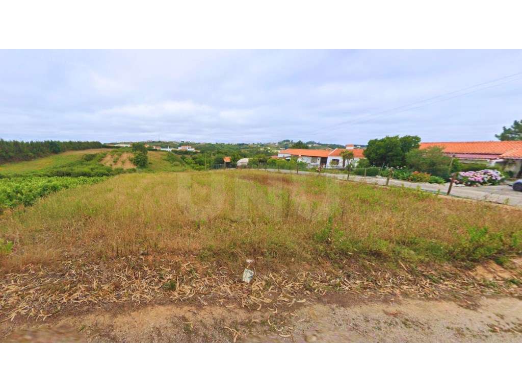 Terreno com 9760m2 - Área construção 1400 m2 - Carvalhal - Bombarral - Grande imagem: 4/10