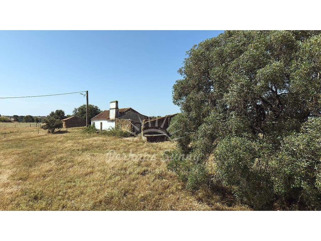 Terreno Misto para construção de Habitação ou Turismo - Melides-6