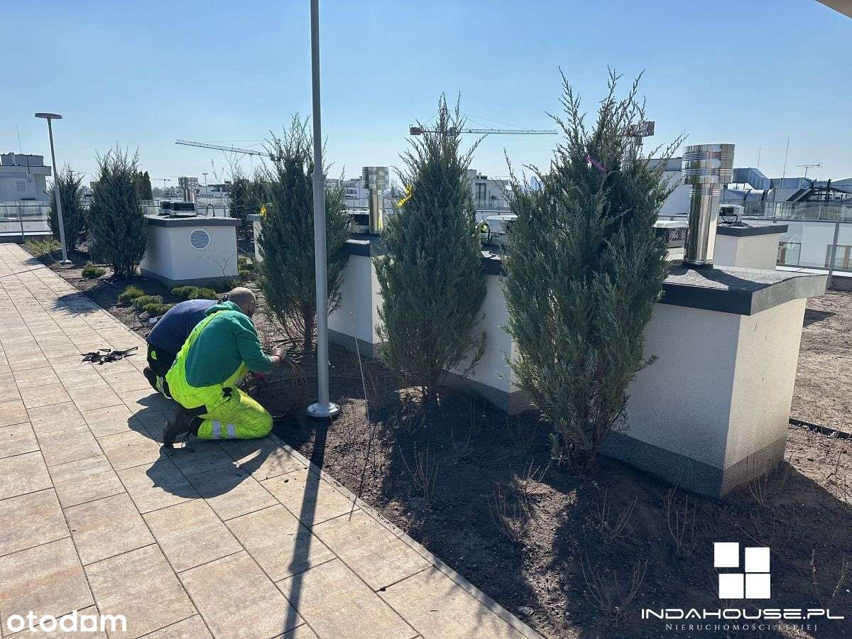 Bardzo wysoki standard I Wysokie mieszkania I Ziel - Pełny obrazek: 3/9