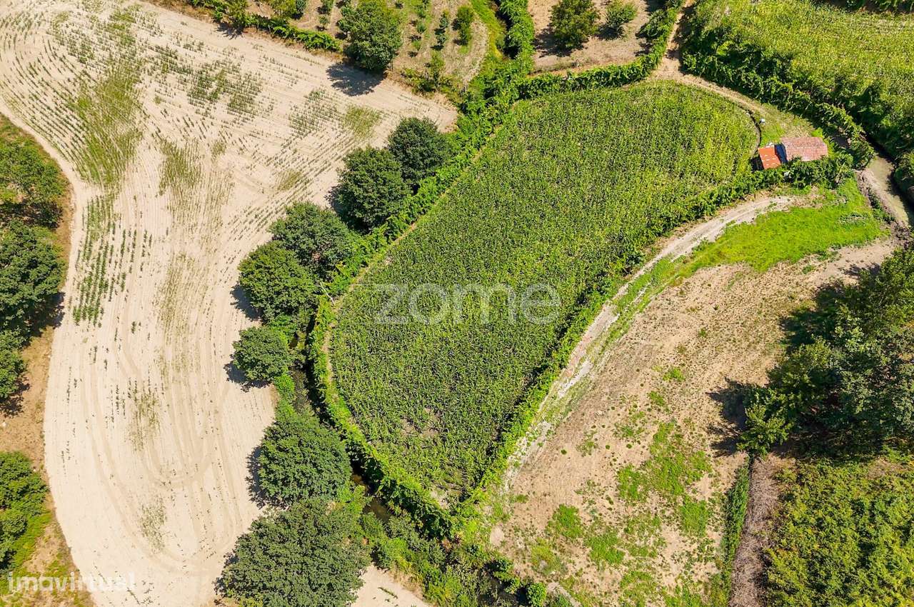 Terreno, 2 386 m², São Gens-12